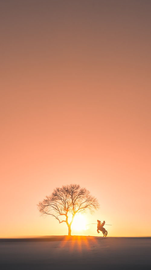 2024年混合团体世界杯:Chinese Taipei挑战强队的艰难之路,世界混合团体锦标赛