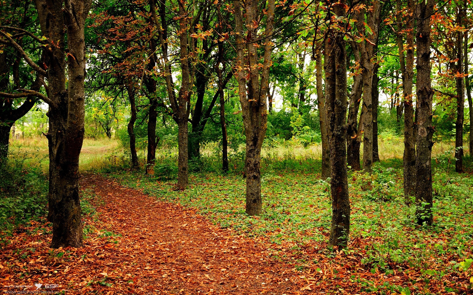 中国女篮高强度对抗中展现坚韧意志,中国女篮高强度对抗中展现坚韧意志的是谁