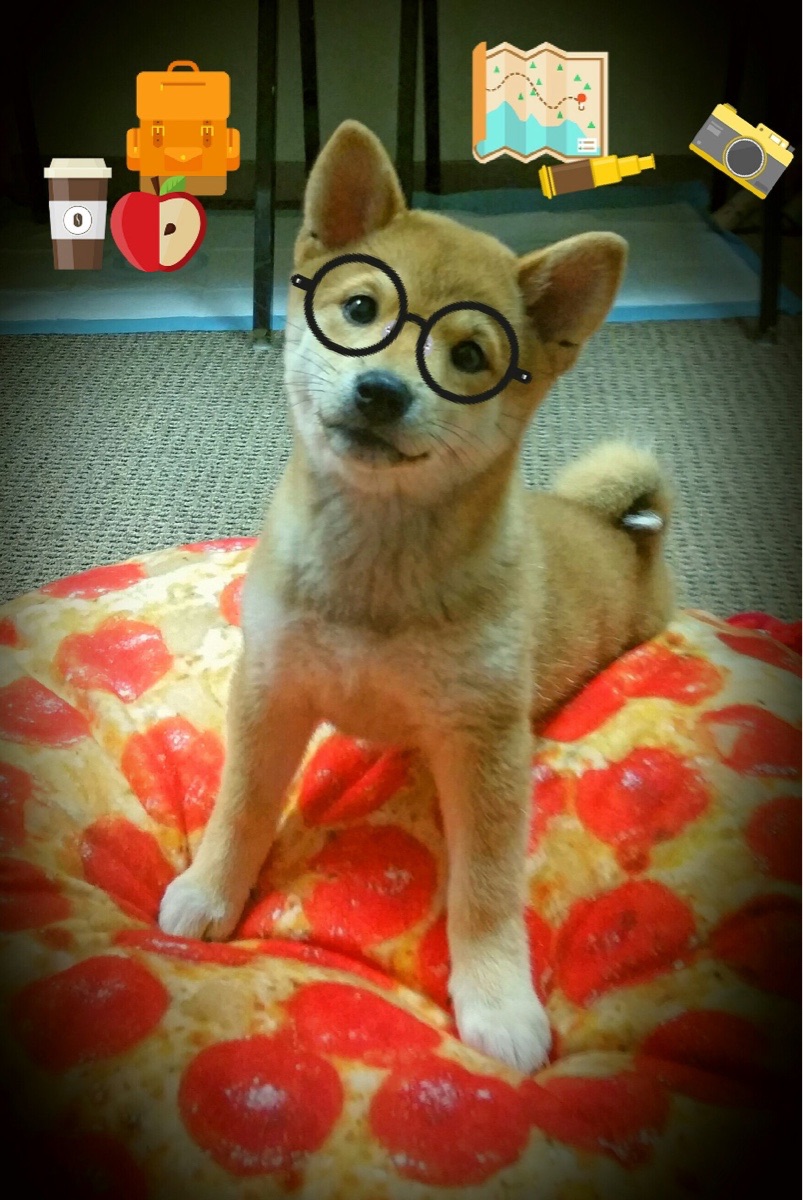 中国男篮备战亚预赛新战术曝光引发热议,男篮亚预赛中国队