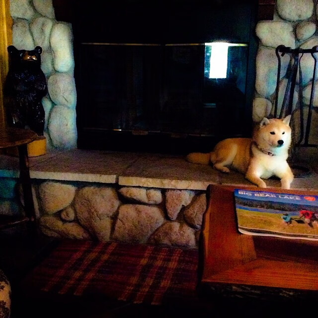 冲刺划频提升助力成绩突破,冲刺技巧