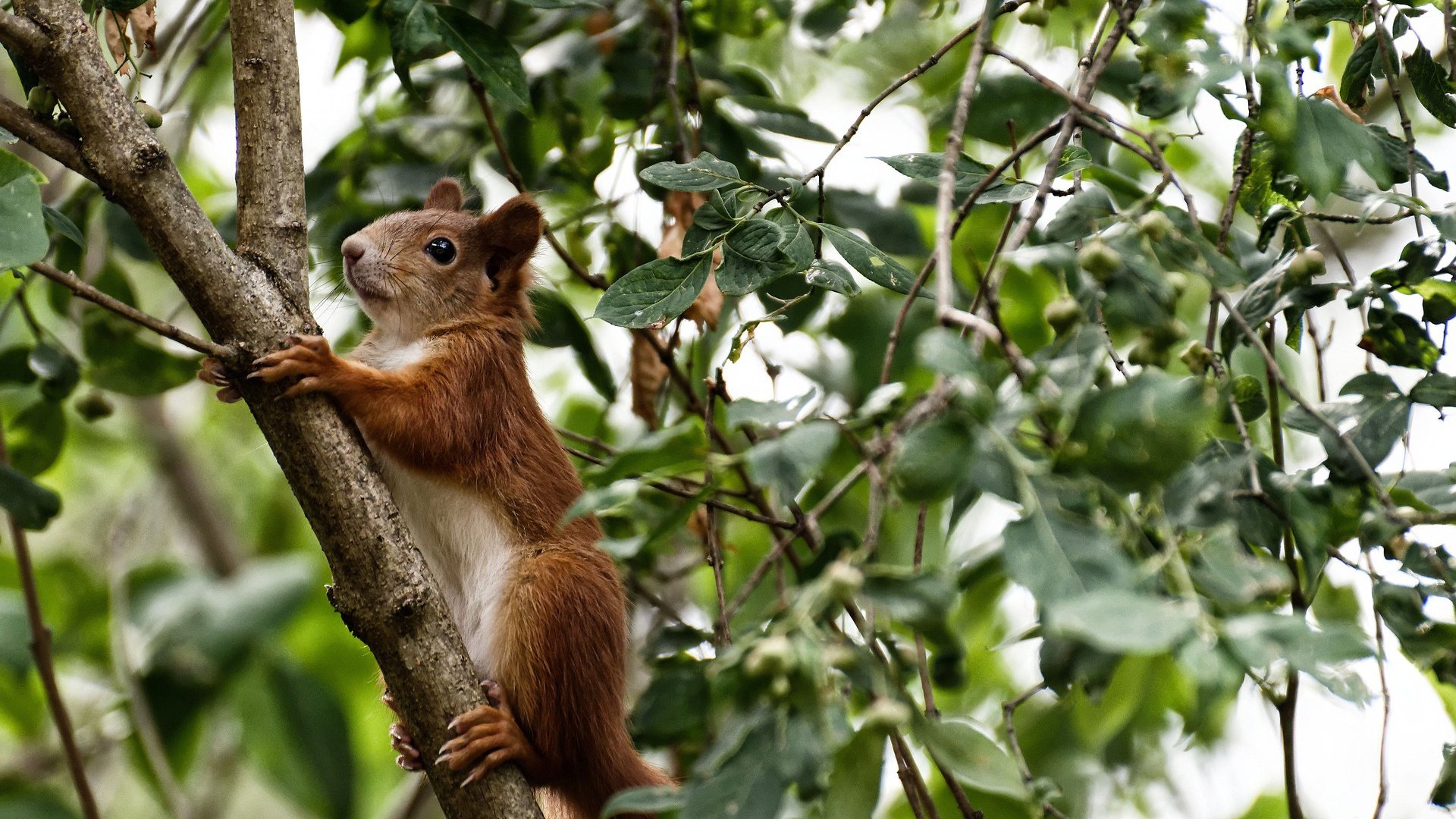 印度乒乓队2024年世界杯:逐步打破国际乒坛格局,印度世乒赛