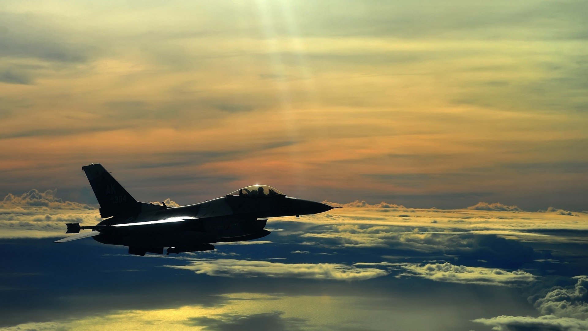 女子蝶泳新星表现抢眼,女子蝶泳决赛视频