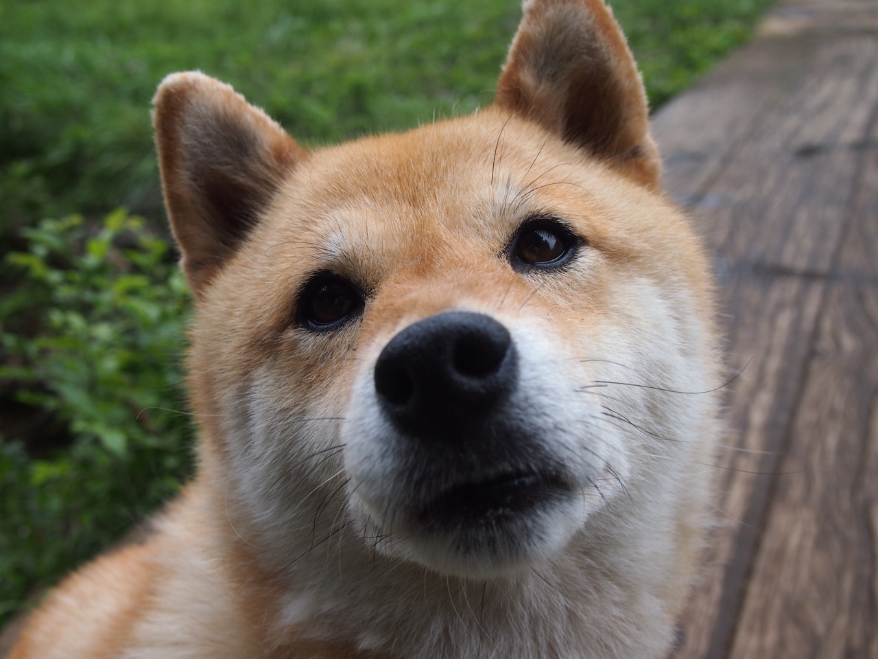 爱游戏平台-热刺主打速度优势拉开防线缺口，热刺打的是什么阵型