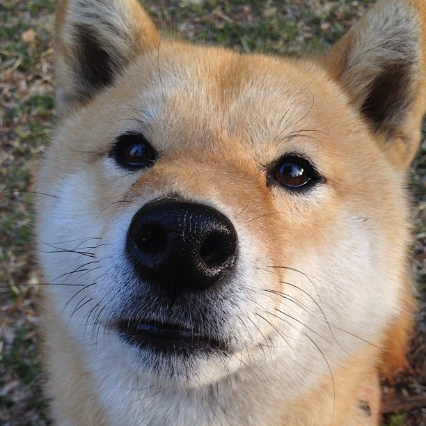 爱游戏下载-球队是否优先培养具备传控兼突破能力的中场新星，球队处于优势怎样安排战术