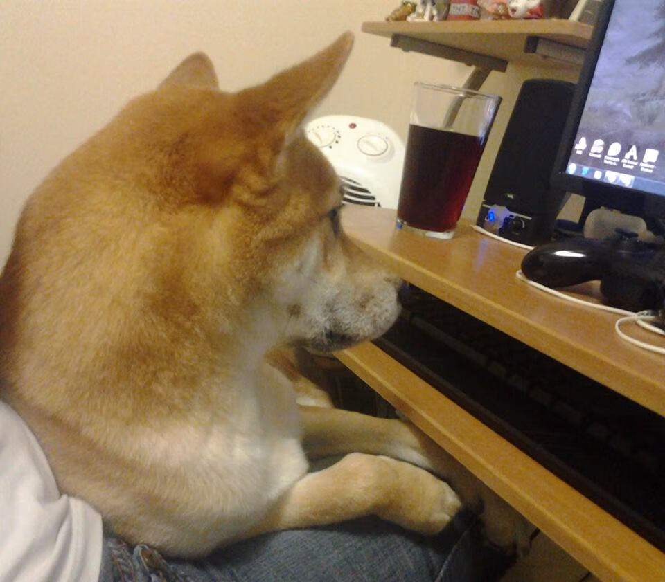 皇家贝蒂斯通过边路制造更多空间,皇家贝蒂斯什么水平