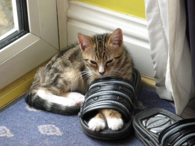 节奏变化是否容易暴露阵容防守弱点,节奏变化的基本方式