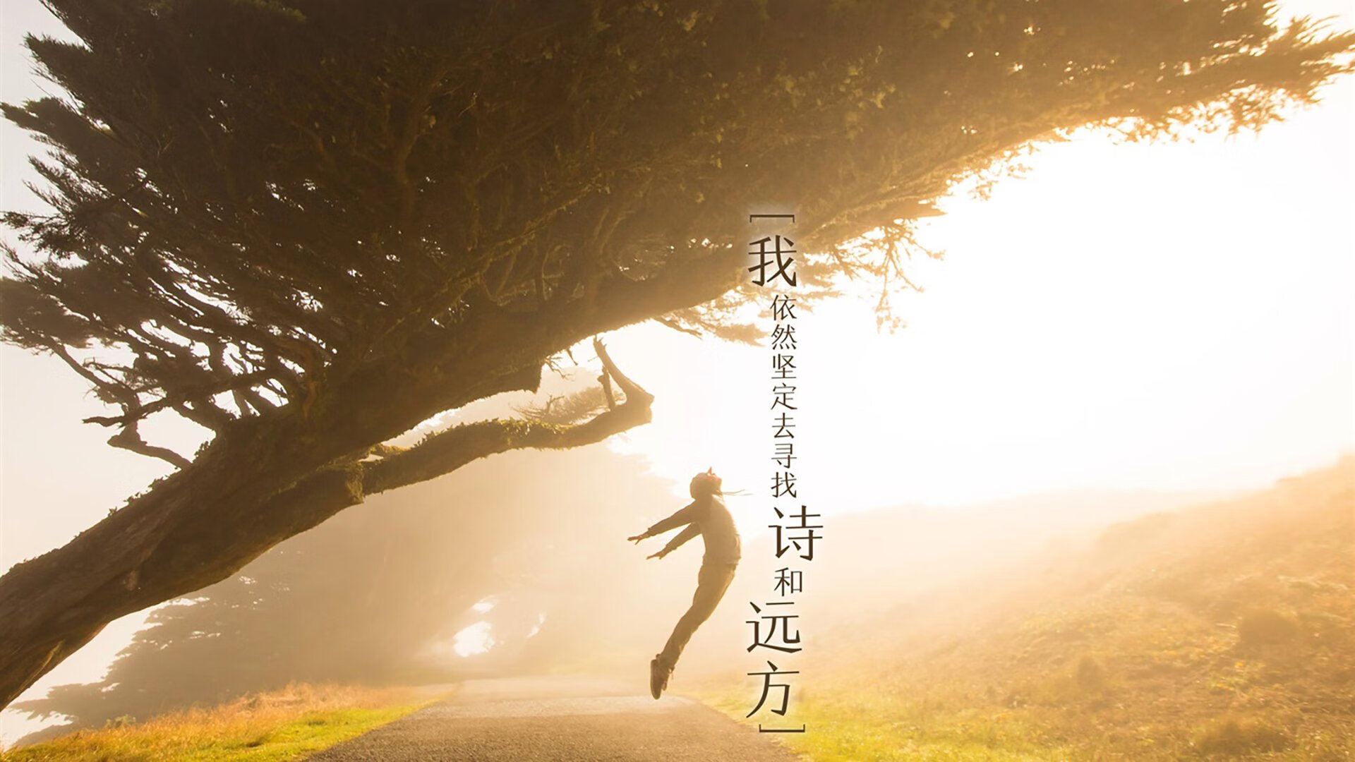 中国足球职业联赛推动线上观赛社群运营,足球联赛网站