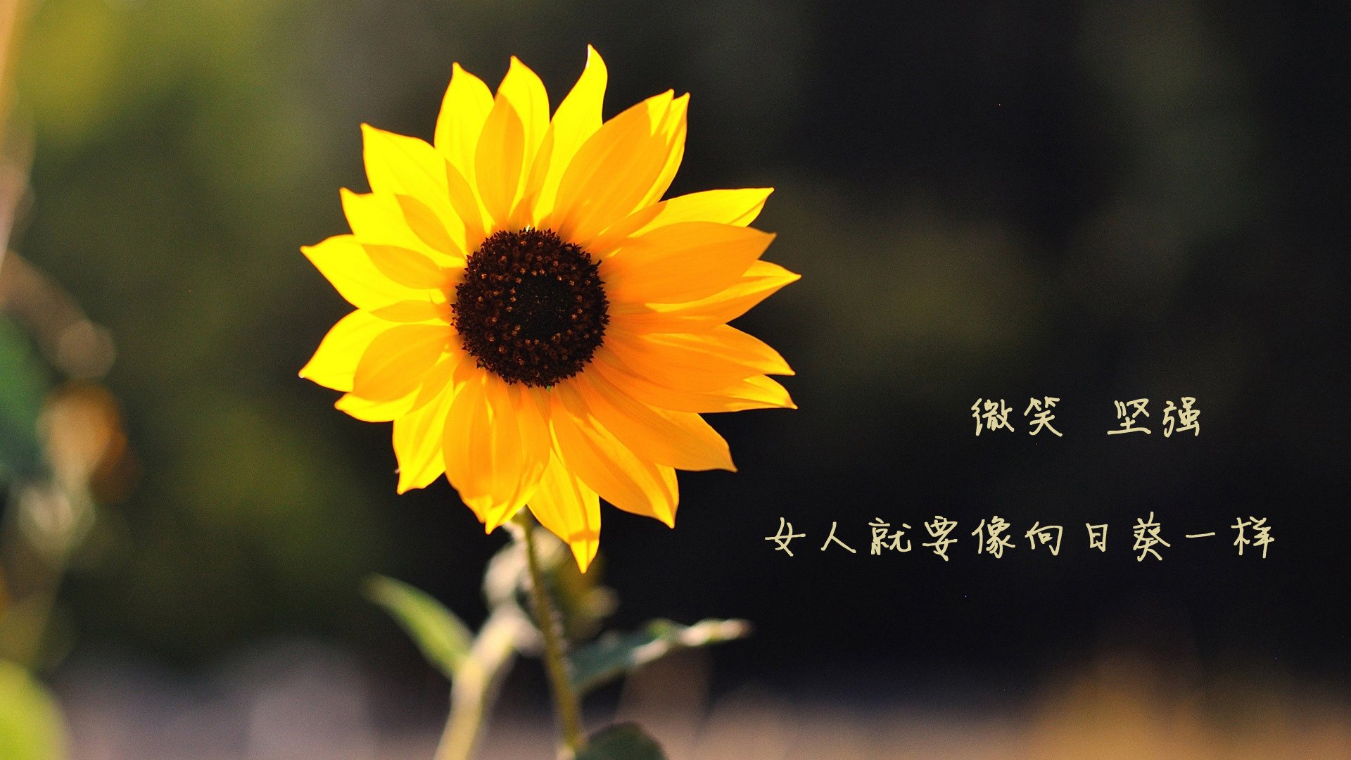 意甲传奇瞬间:个性表现成就永恒经典,意甲传奇门将