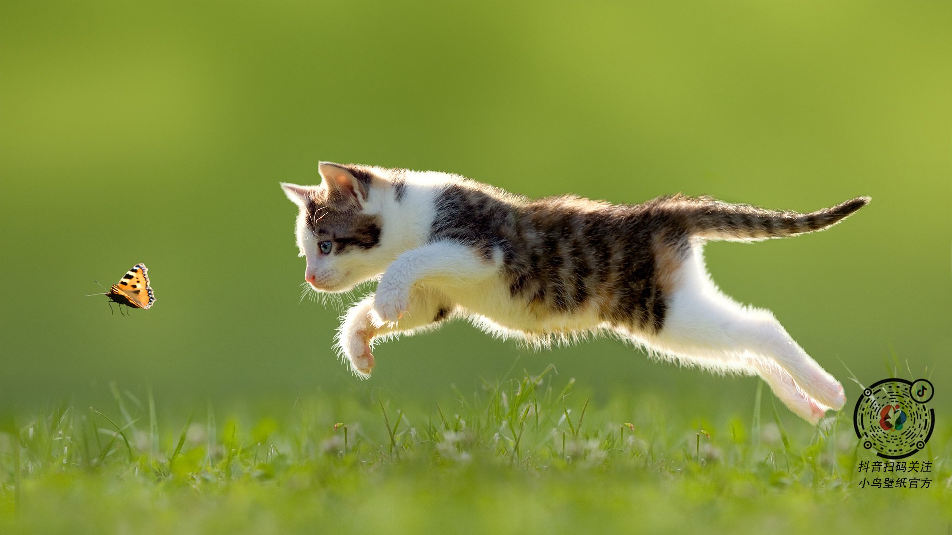 教练员培训体系全面升级,教练员岗位培训管理系统