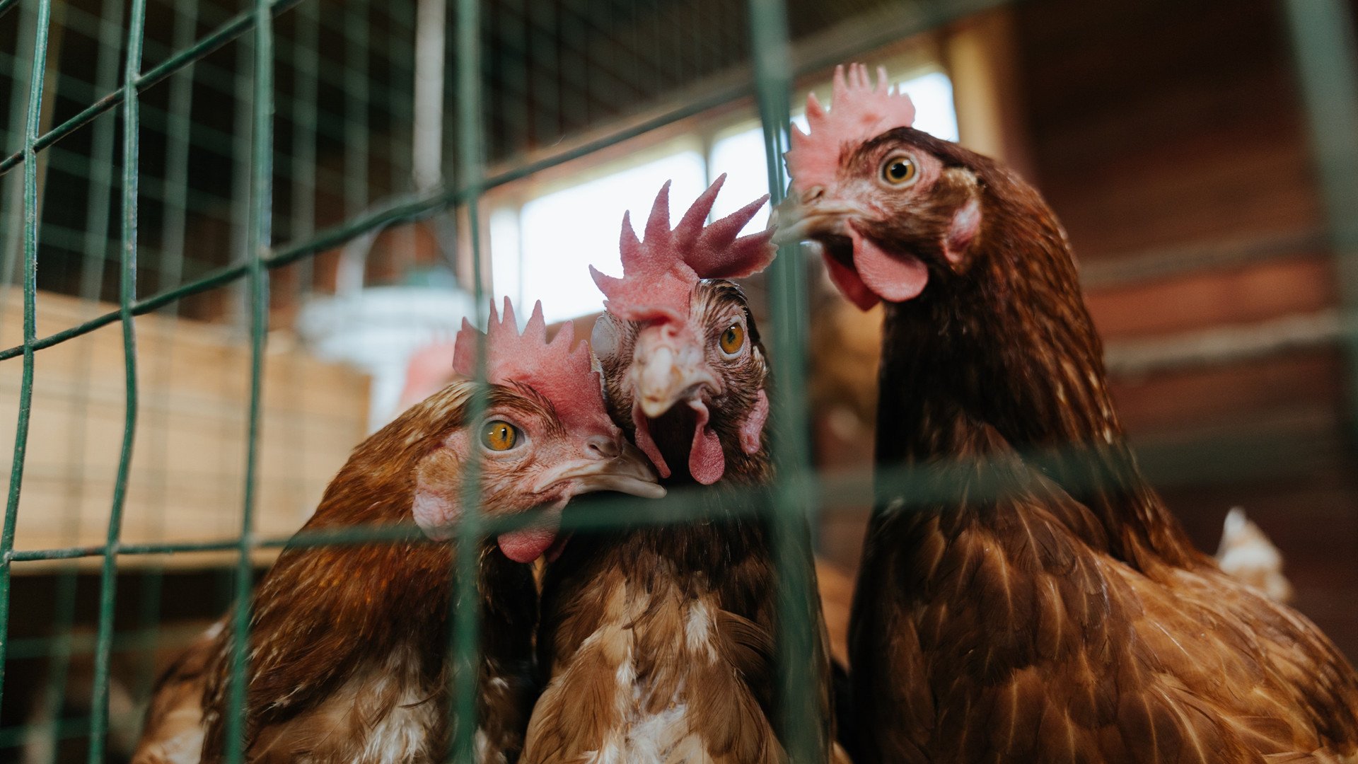 未来足球场馆实现全场智能安防,确保赛事安全顺利进行,足球场管理系统