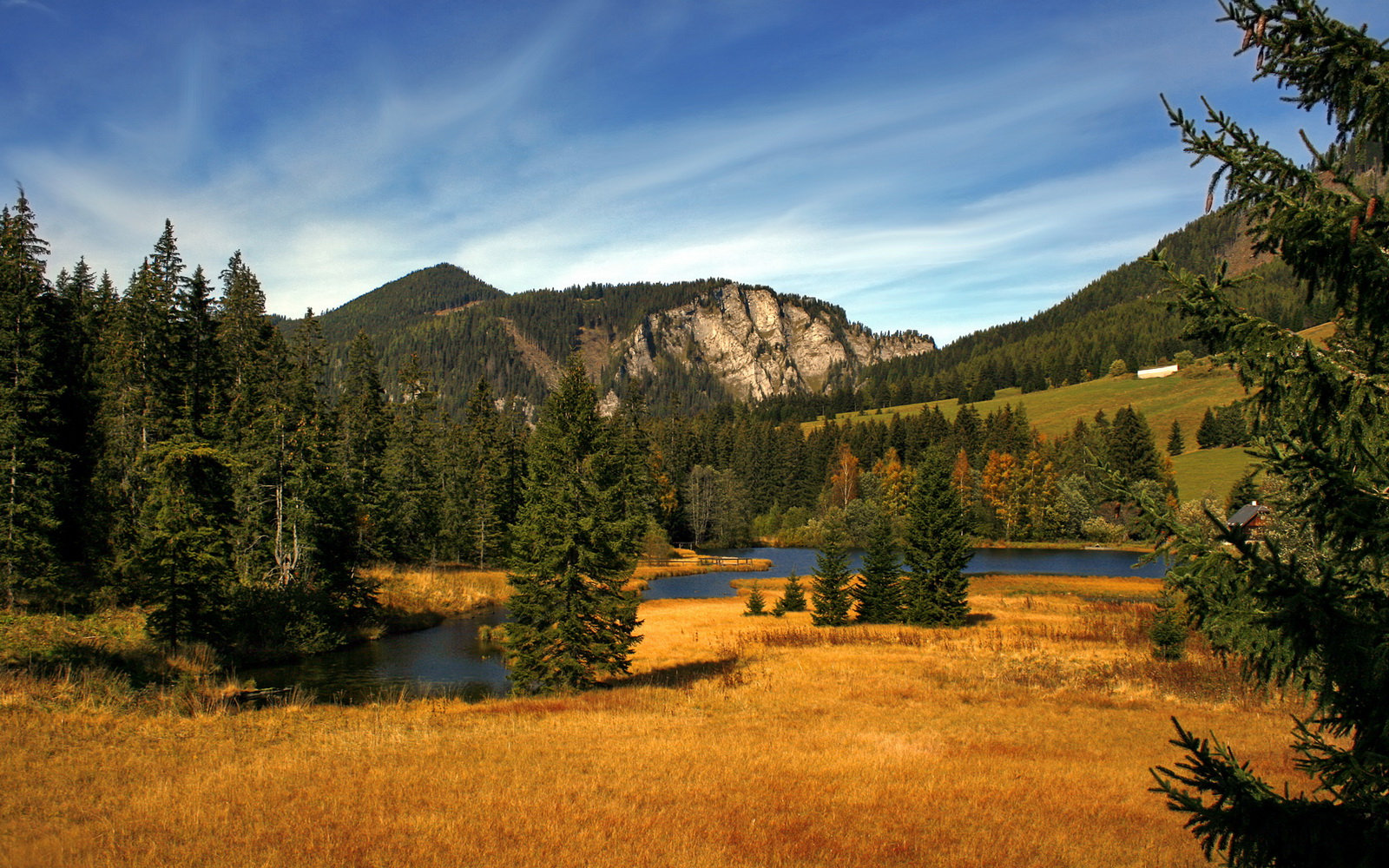 皇马青训继续发力，新星不断涌现