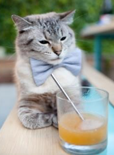 爱游戏入口-西甲绝佳破门：精彩瞬间成经典！，西甲最佳门将